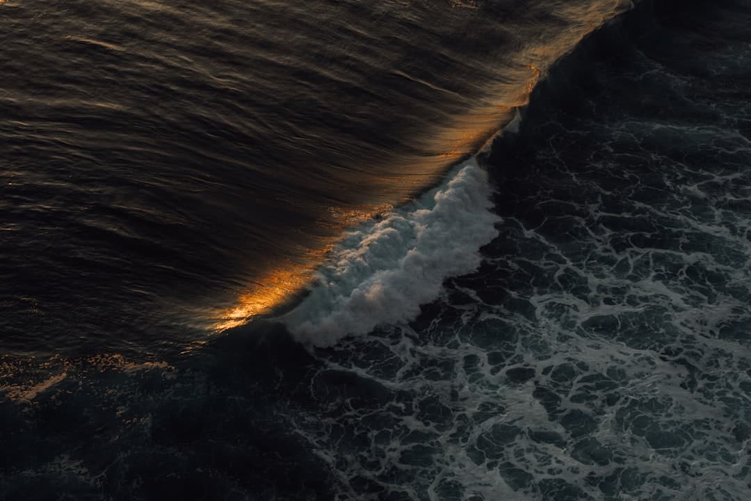 Why Wave is my new go-to terminal app - how I use this powerful tool