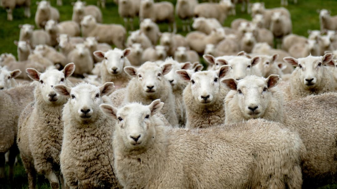 Flock Safety denied threatening lecture series over surveillance debate