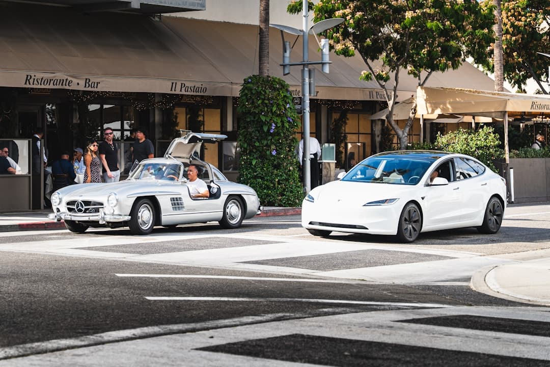 Tesla Says It’s Building a Wheelchair-Accessible Robotaxi