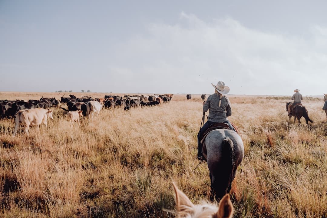 Texas Ranchers Face Pollution Threat from Data Centers