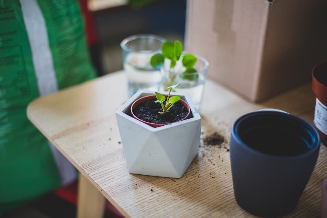 5 gadgets I'm buying this summer to grow my green thumb (and they're discounted)